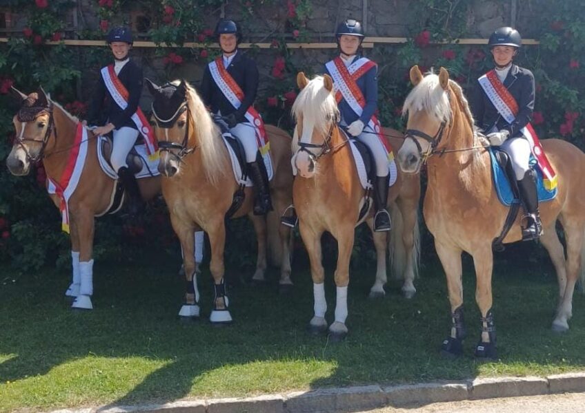 Die Goldmähnen Gang