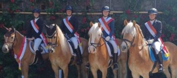 Die Goldmähnen Gang