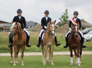 18ac2778-e103-4e88-a808-06e2c85fc30b