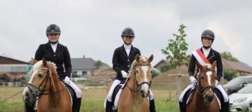 18ac2778-e103-4e88-a808-06e2c85fc30b