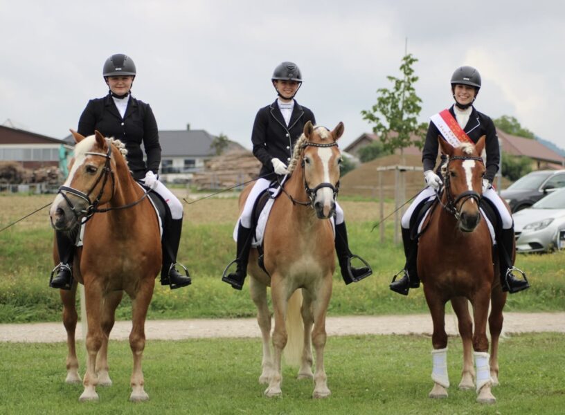 18ac2778-e103-4e88-a808-06e2c85fc30b