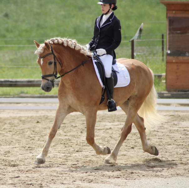 4365502f-3d9b-45f3-a493-aeb29159f26d