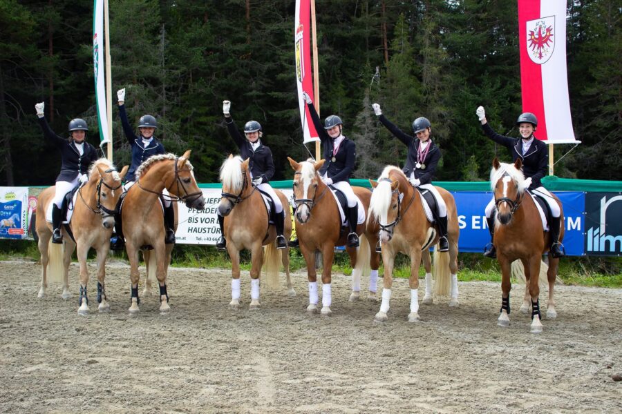 Haflinger BM 2022 IMG_8458