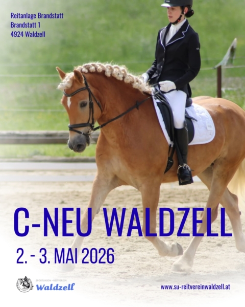 Turnier 2026 Instagram Turnier 2026 Instagram